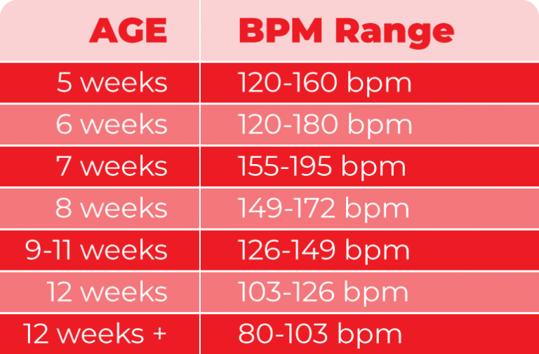 fetal-heart-rate-monitoring-explained-cardiacdirect